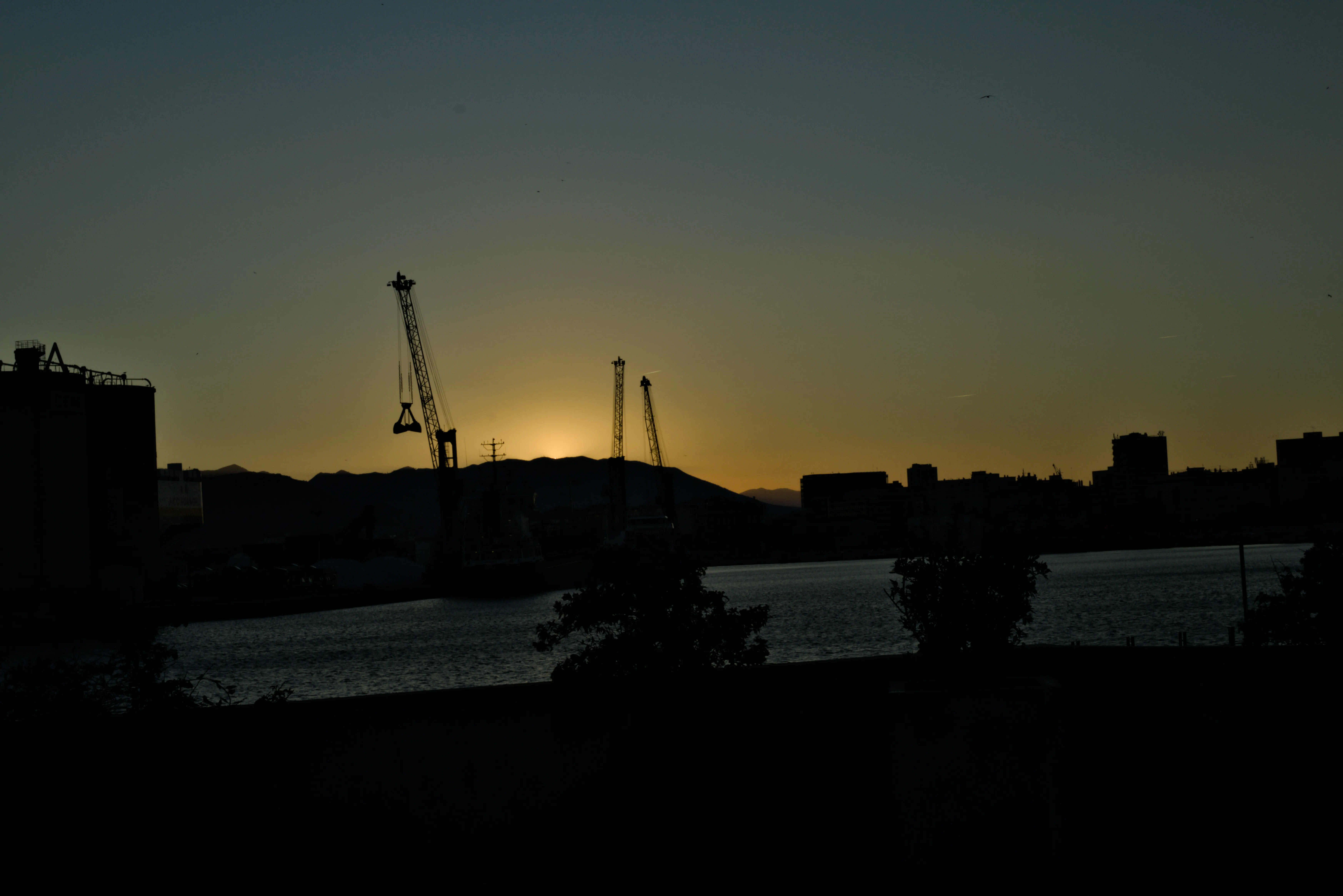 Meyer-Optik Görlitz Primagon 35mm f4.5 (M42) - _I4A2873.webp